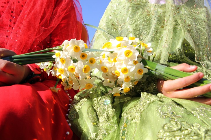 Daffodil Flowerbed of Kazerun
