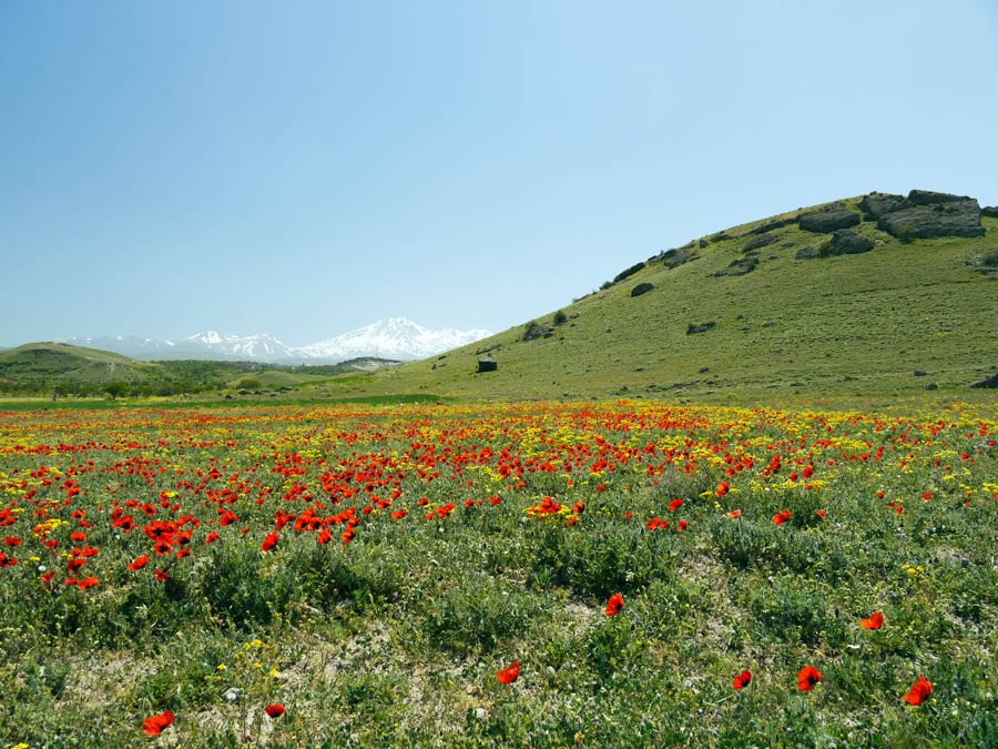 Ancient Site of Shahar Yeri