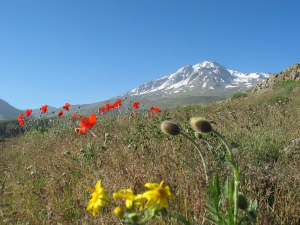 Savalan Mountain