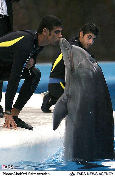 Dolphins Park of Kish