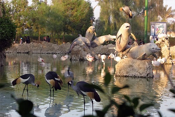 Dolphins Park of Kish