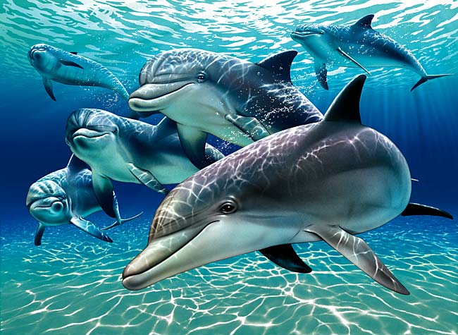 Dolphins Park of Kish