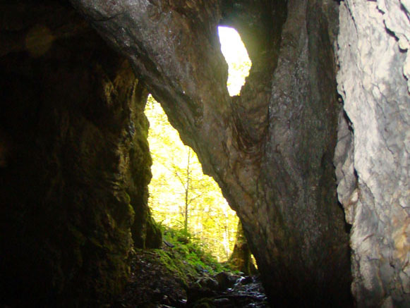 Avishi Cave