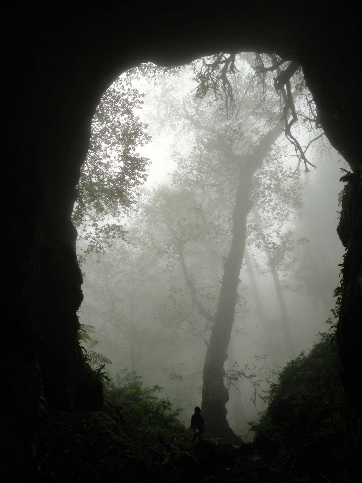 Avishi Cave