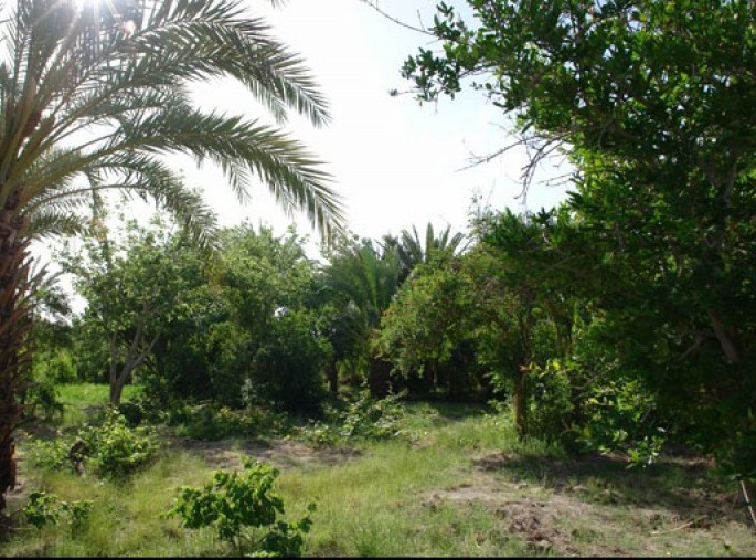 Ladiz Village