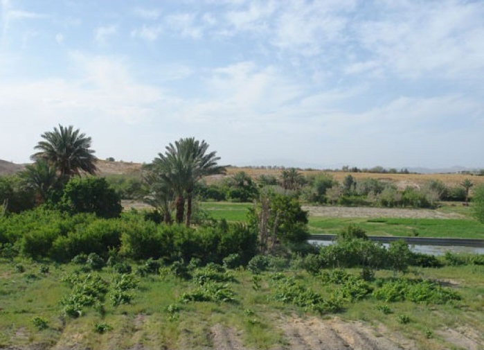 Ladiz Village