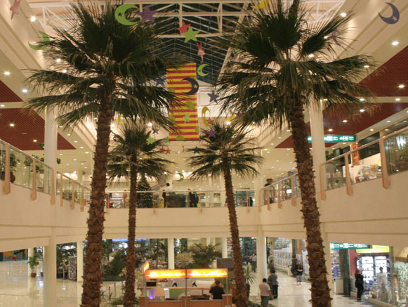 Paradise 1 and 2 Shopping Centers