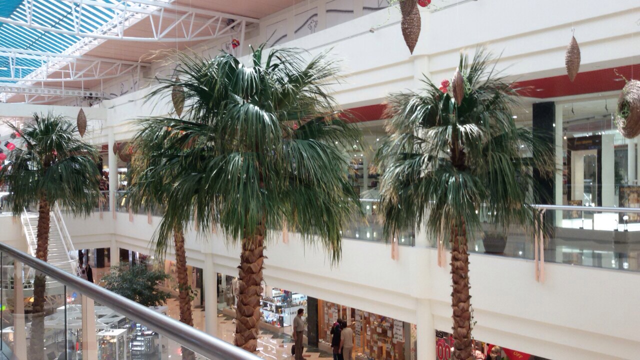 Paradise 1 and 2 Shopping Centers