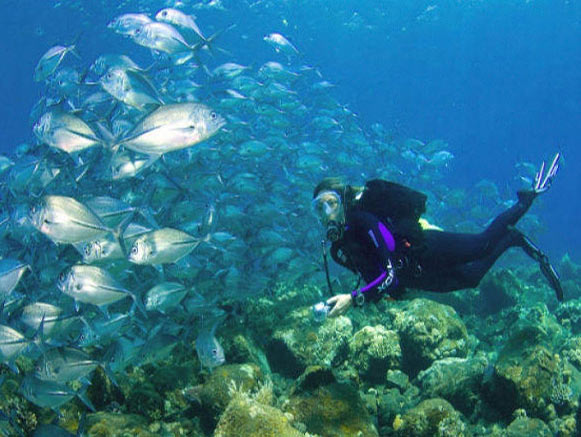 Scuba Diving in the Persian Gulf