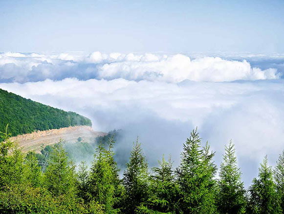 Jangale Abr, Sahrud (Cloud forest)