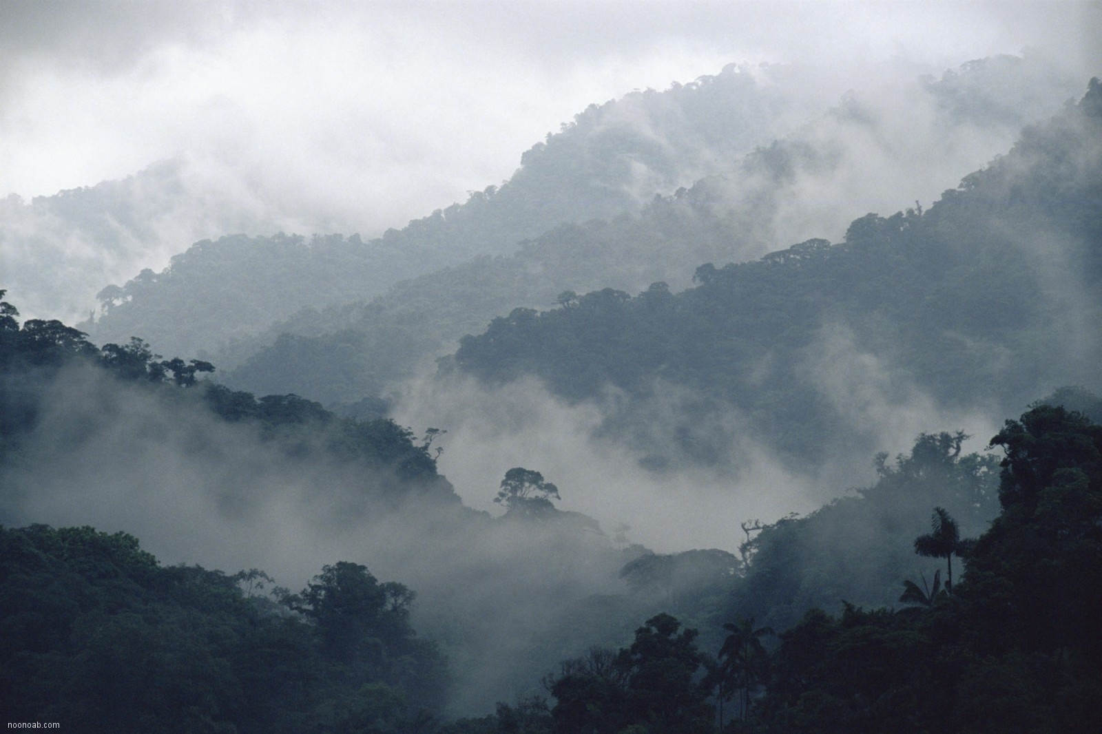 Jangale Abr, Sahrud (Cloud forest)