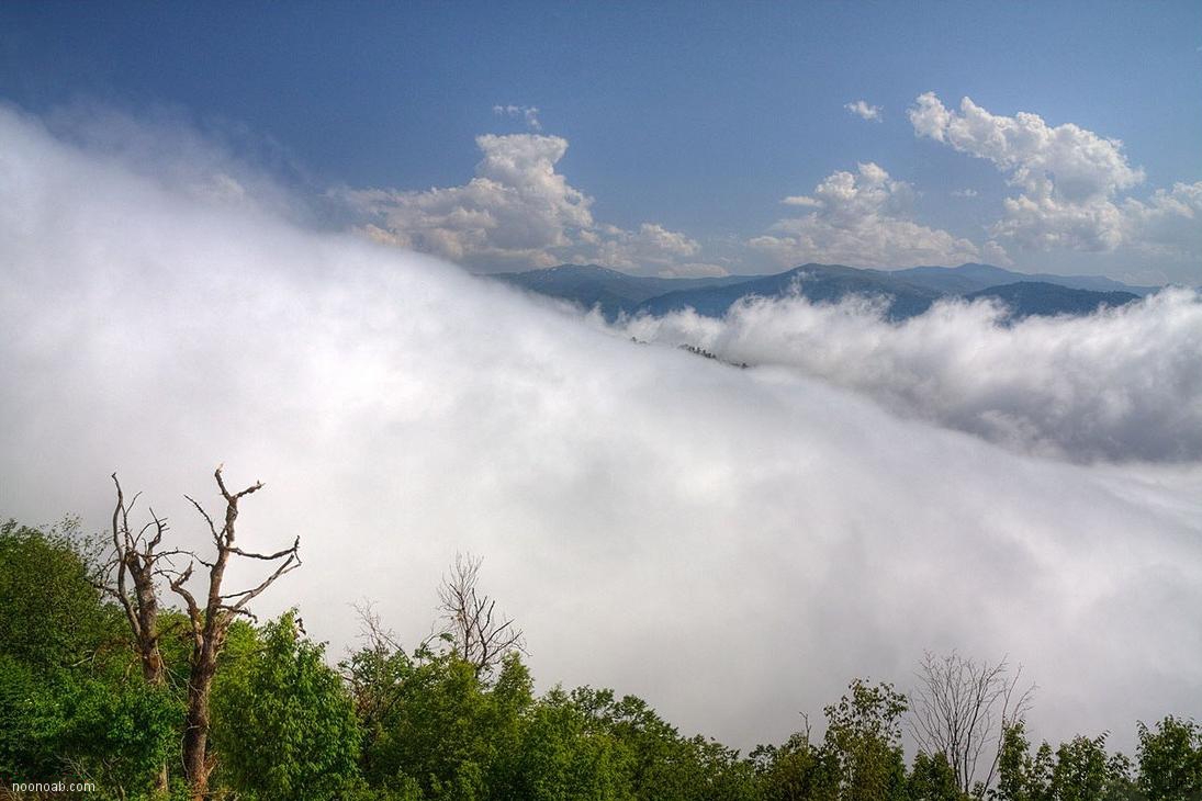Jangale Abr, Sahrud (Cloud forest)