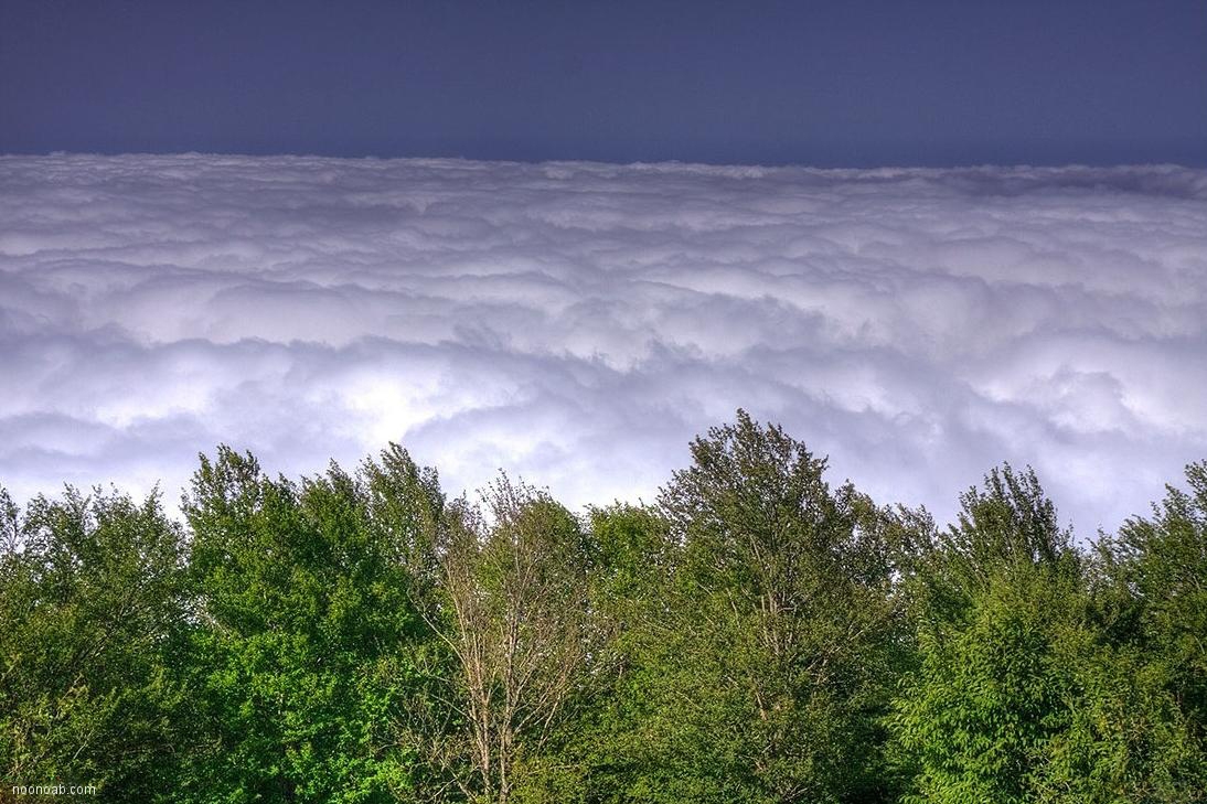 Jangale Abr, Sahrud (Cloud forest)