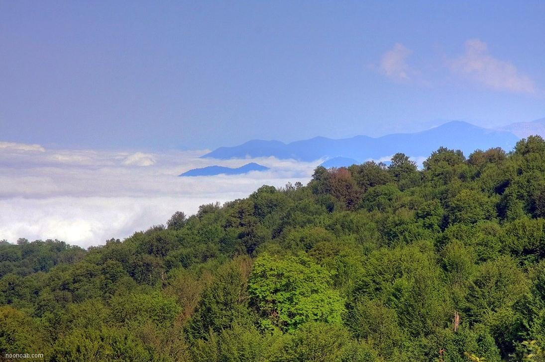 Jangale Abr, Sahrud (Cloud forest)