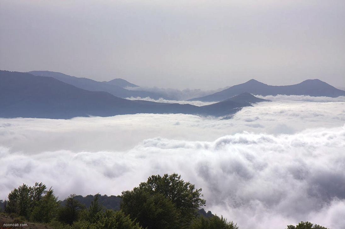 Jangale Abr, Sahrud (Cloud forest)