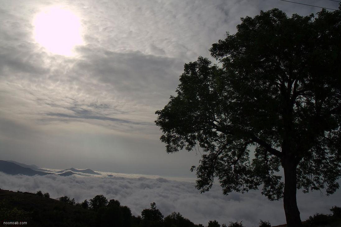 Jangale Abr, Sahrud (Cloud forest)