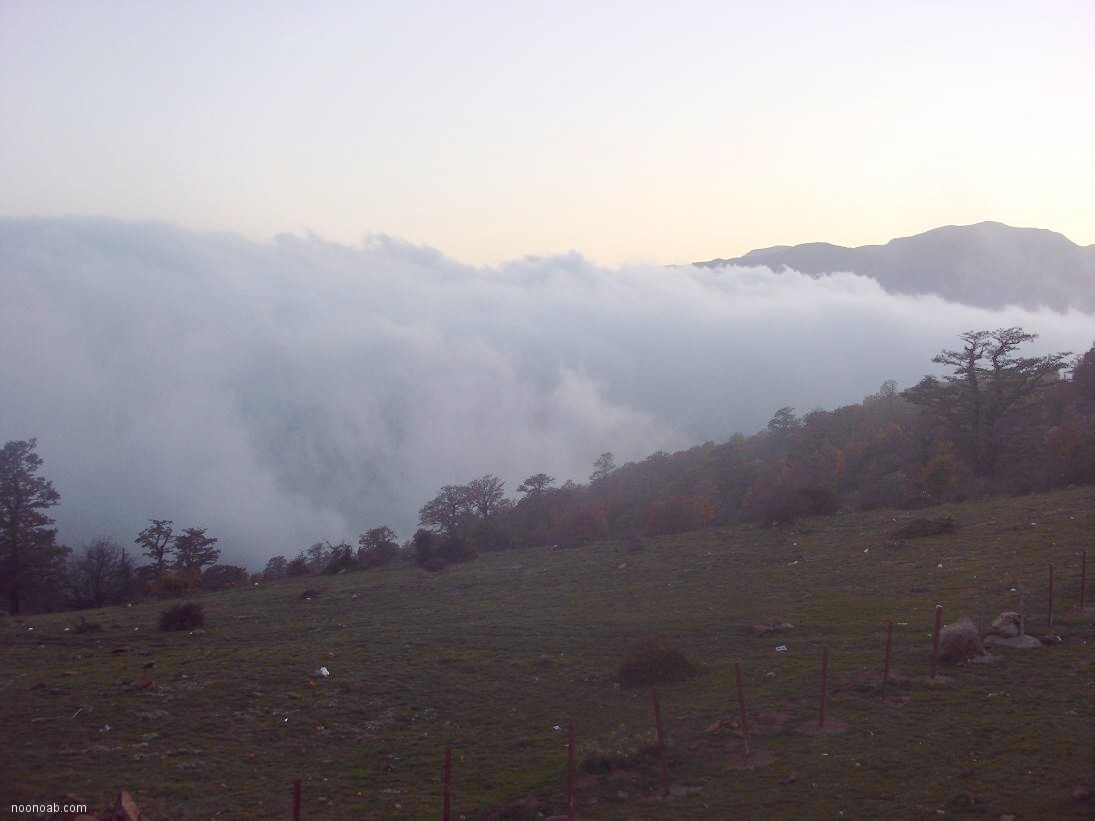 Jangale Abr, Sahrud (Cloud forest)