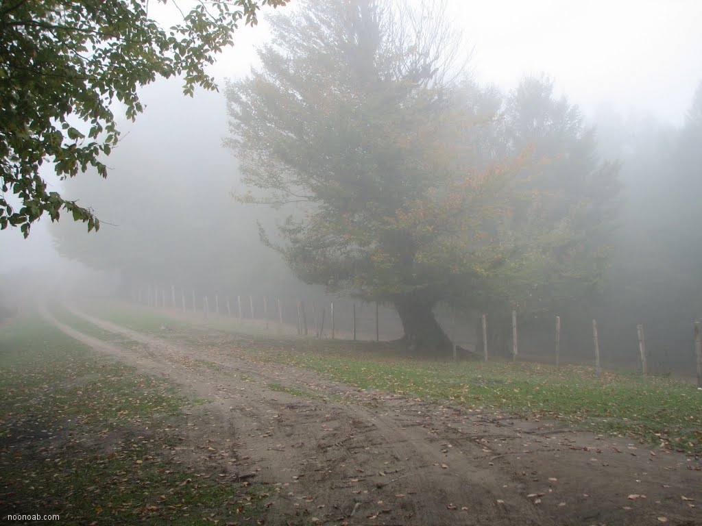 Jangale Abr, Sahrud (Cloud forest)