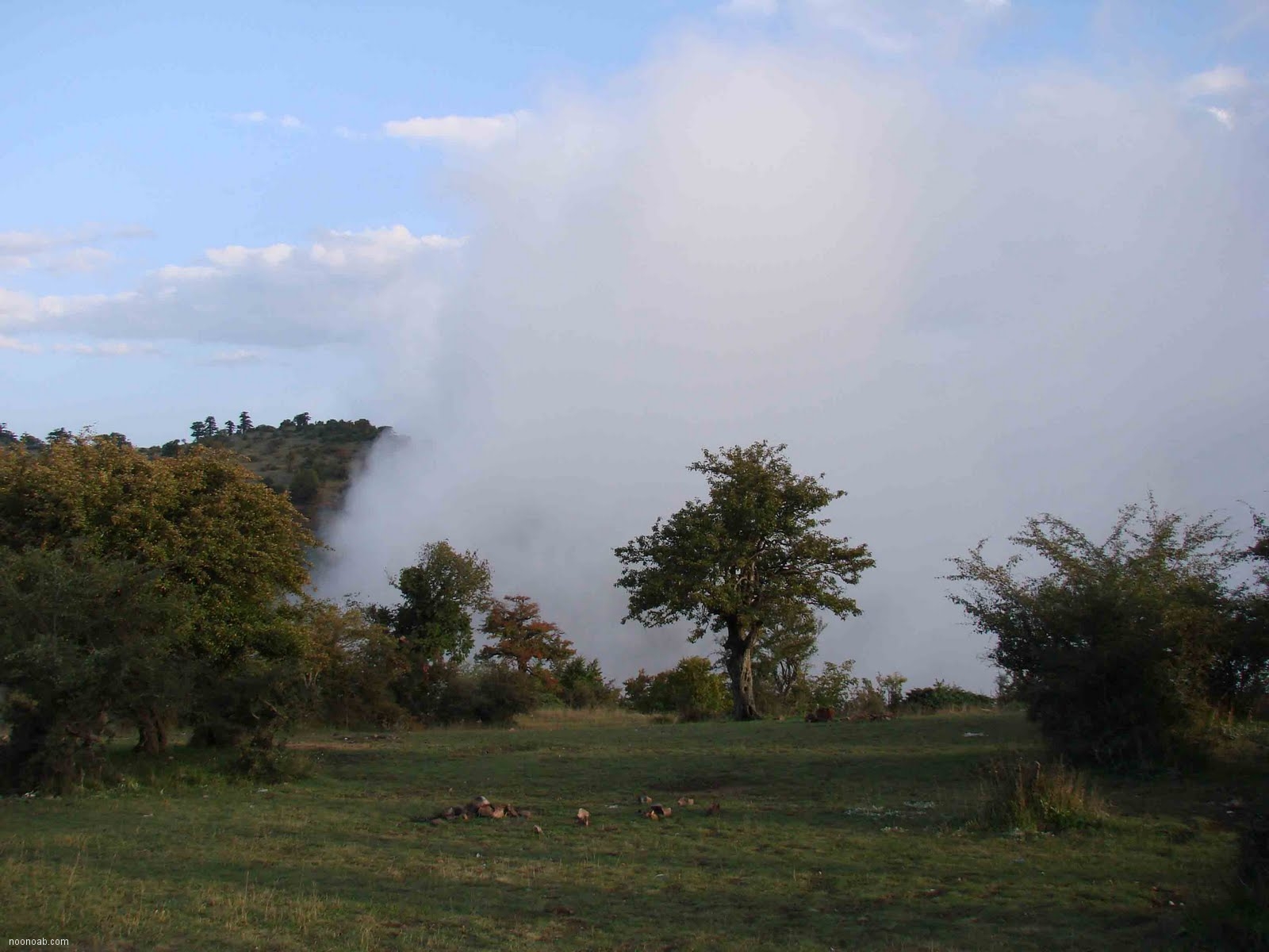 Jangale Abr, Sahrud (Cloud forest)