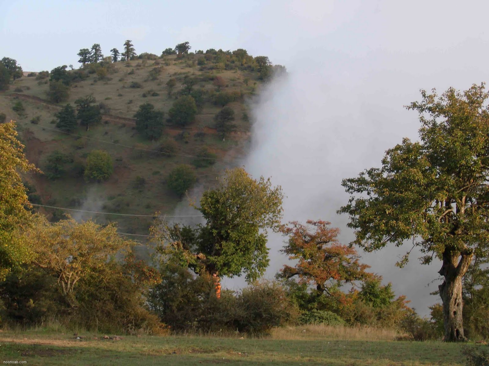 Jangale Abr, Sahrud (Cloud forest)