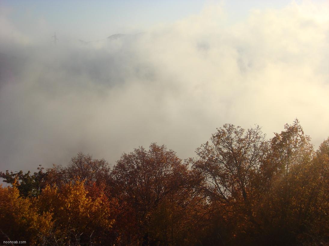 Jangale Abr, Sahrud (Cloud forest)