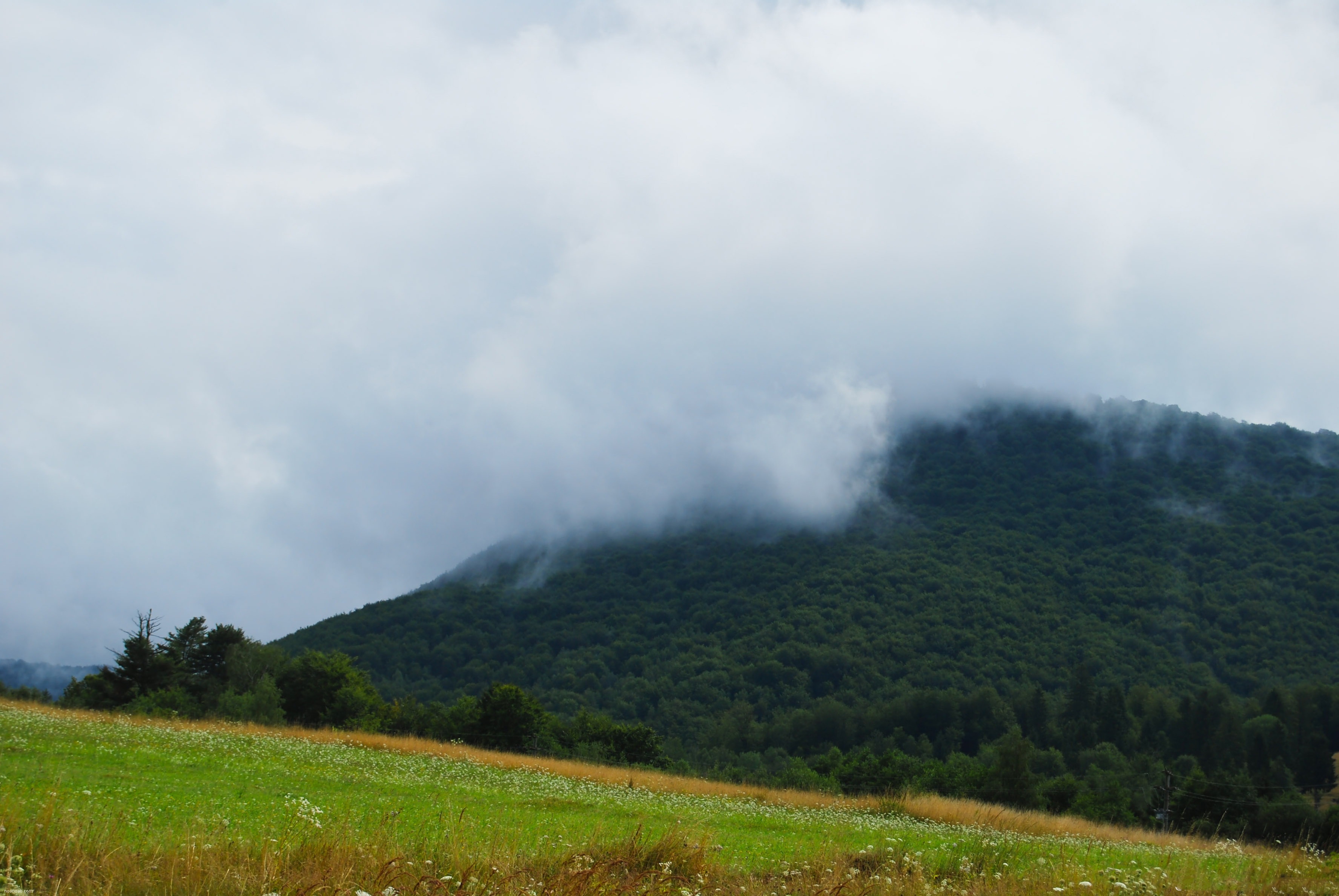 Jangale Abr, Sahrud (Cloud forest)