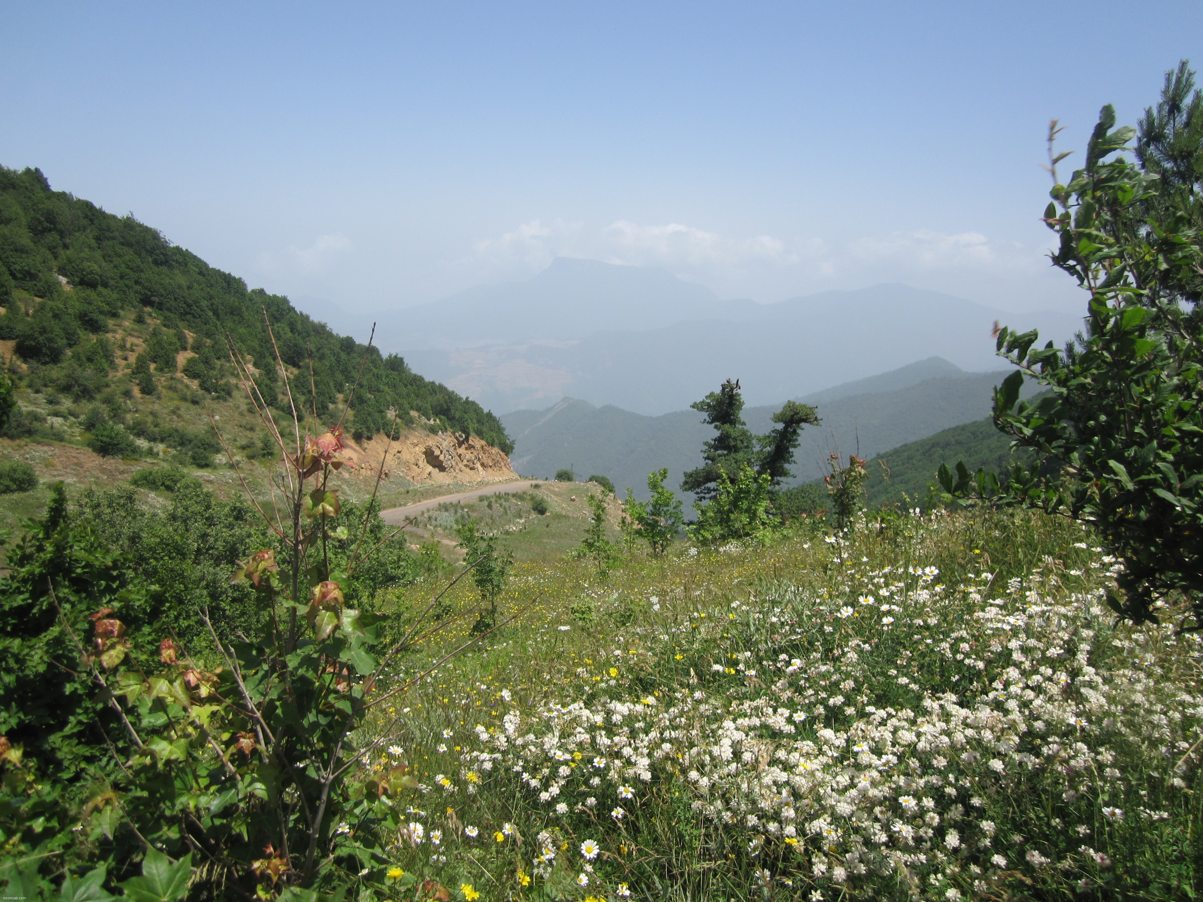 Jangale Abr, Sahrud (Cloud forest)