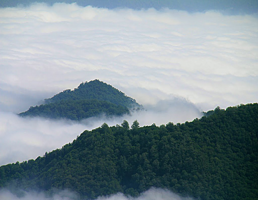 Jangale Abr, Sahrud (Cloud forest)