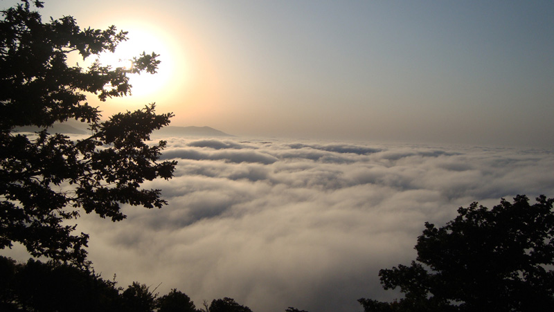 Jangale Abr, Sahrud (Cloud forest)