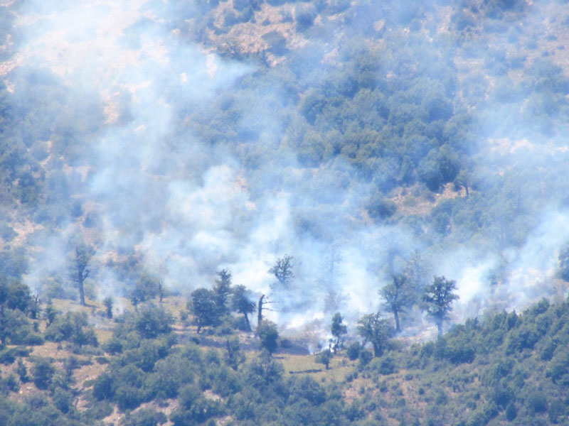 Jangale Abr, Sahrud (Cloud forest)