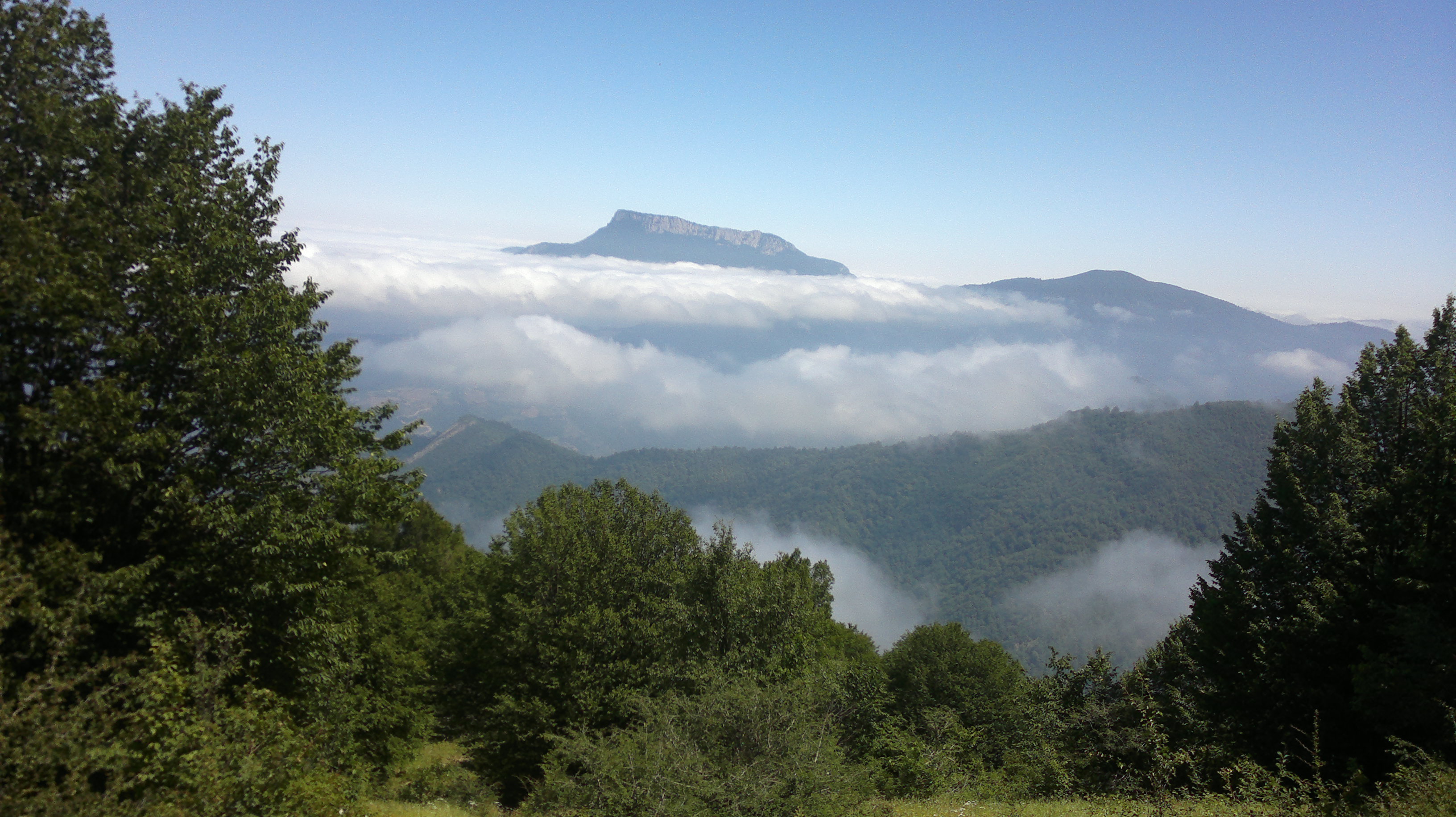 Jangale Abr, Sahrud (Cloud forest)