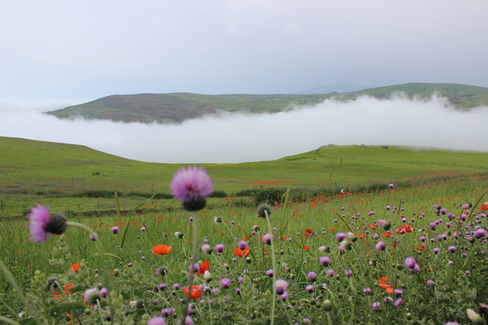 Soubatan Highlands