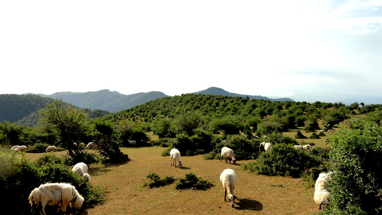 Soubatan Highlands