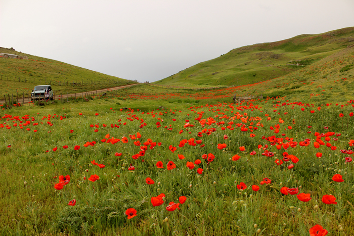 Soubatan Highlands