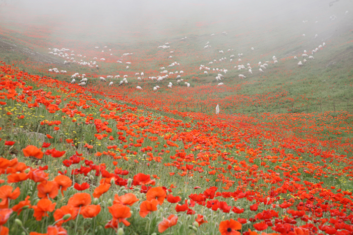 Soubatan Highlands