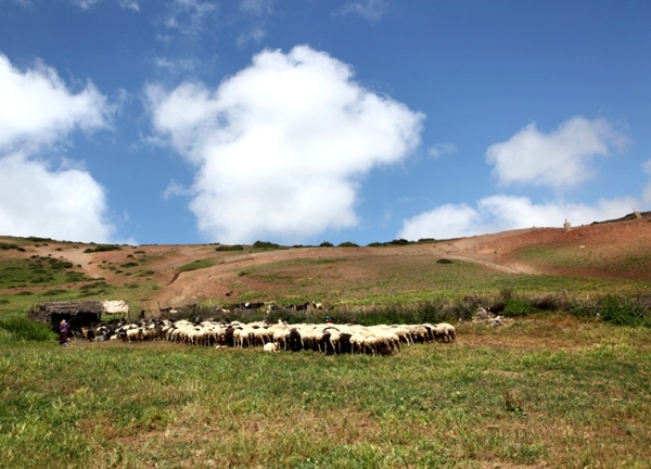 Damash Village Sousan-e Chelcheragh