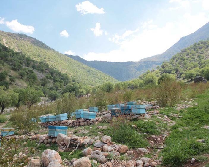 Shalu and Mongasht Protected Area