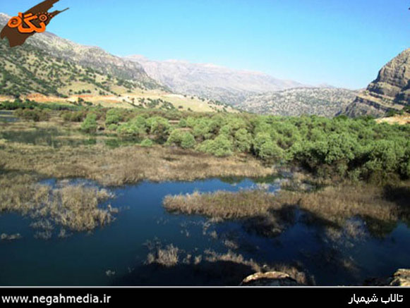 Protected Forest Area of Shimbar