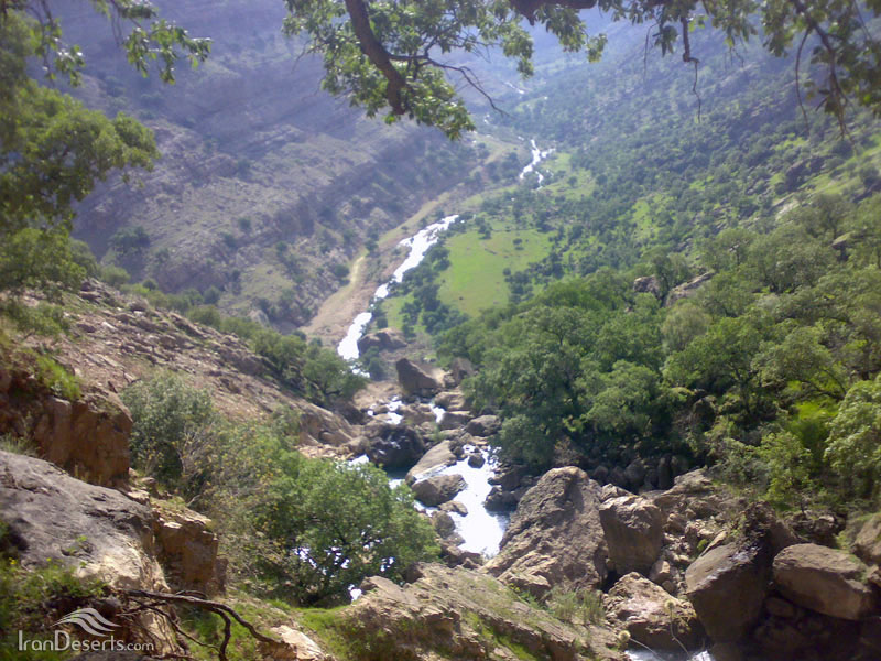 Protected Forest Area of Shimbar