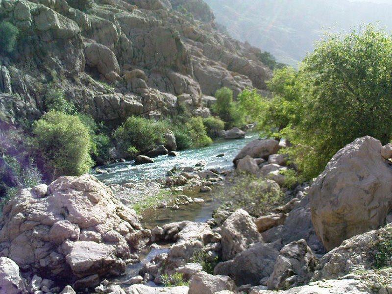 Protected Forest Area of Shimbar