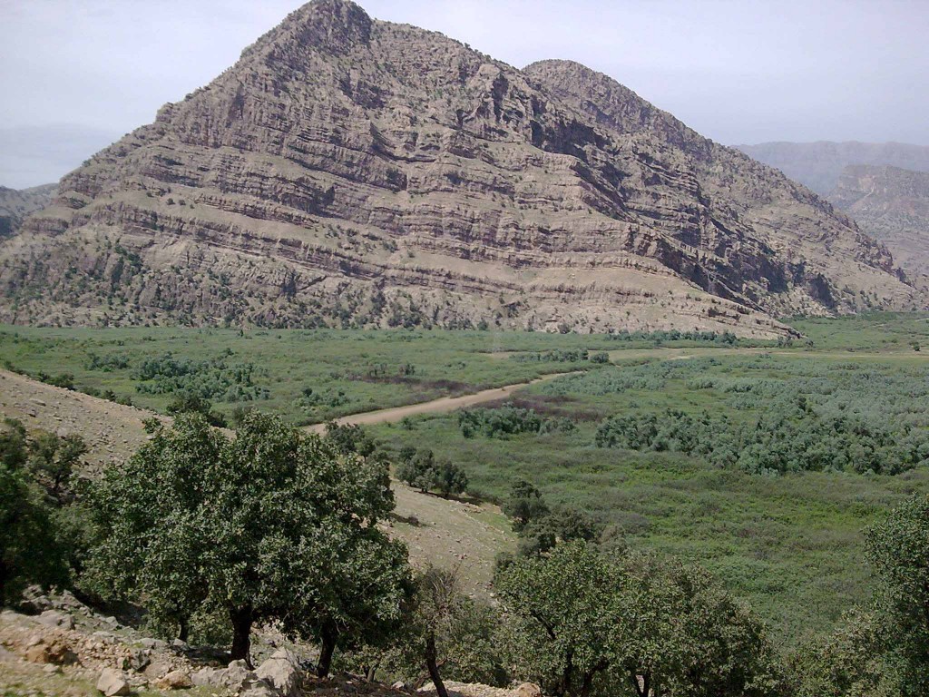 Protected Forest Area of Shimbar