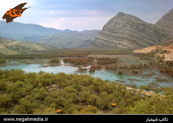 Protected Forest Area of Shimbar