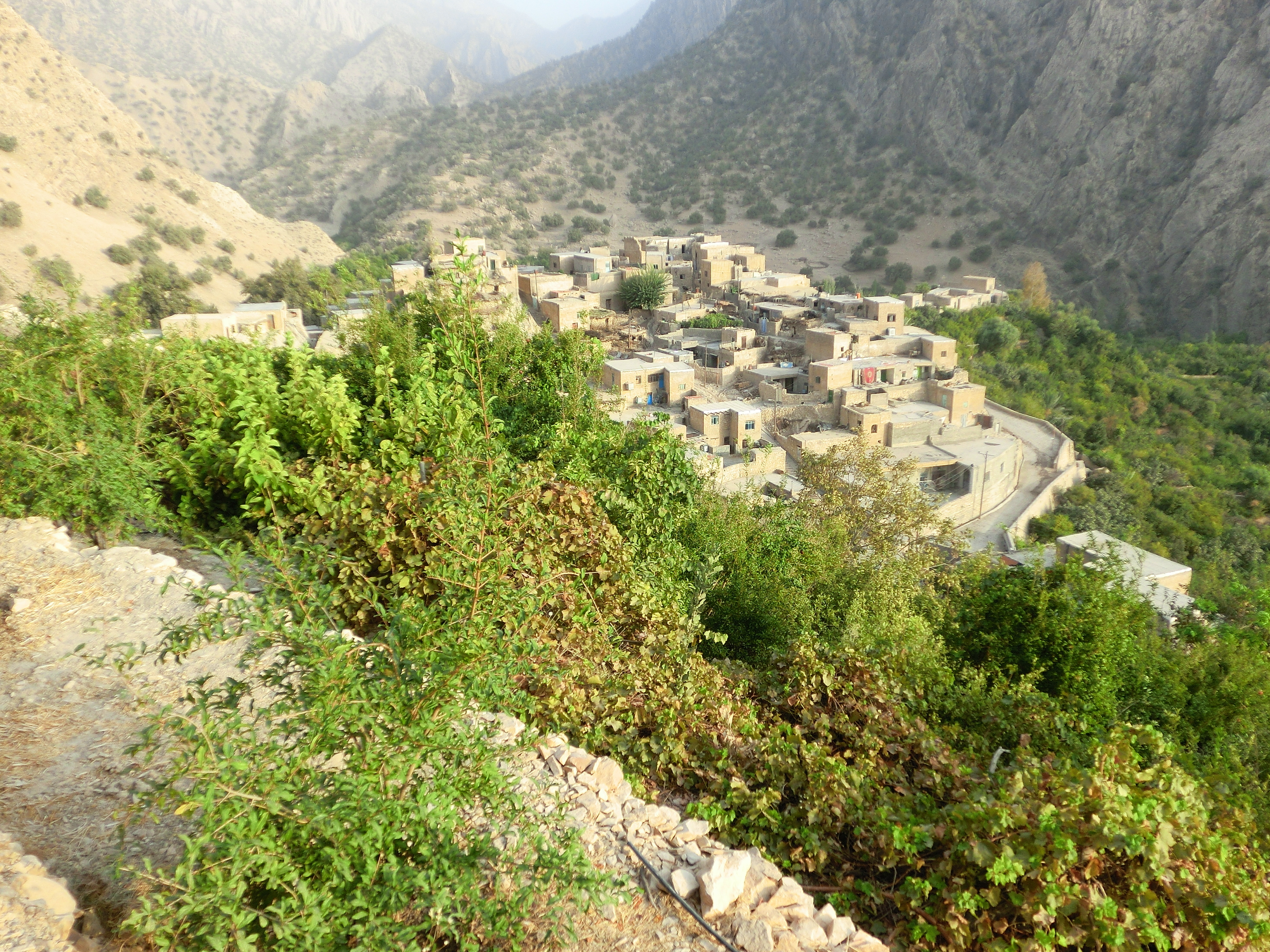 Marin Village