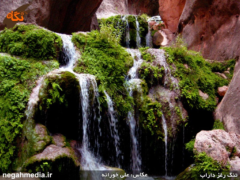 Raghz Canyon of Darab