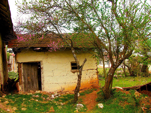 Pasha Kola Village, Sari
