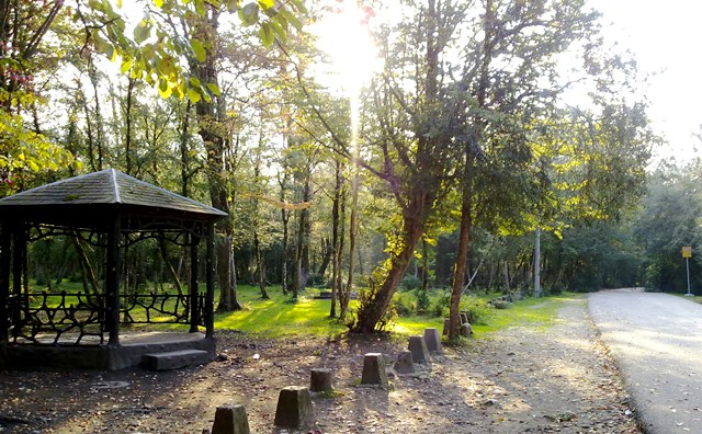 Sisangan Forest Park
