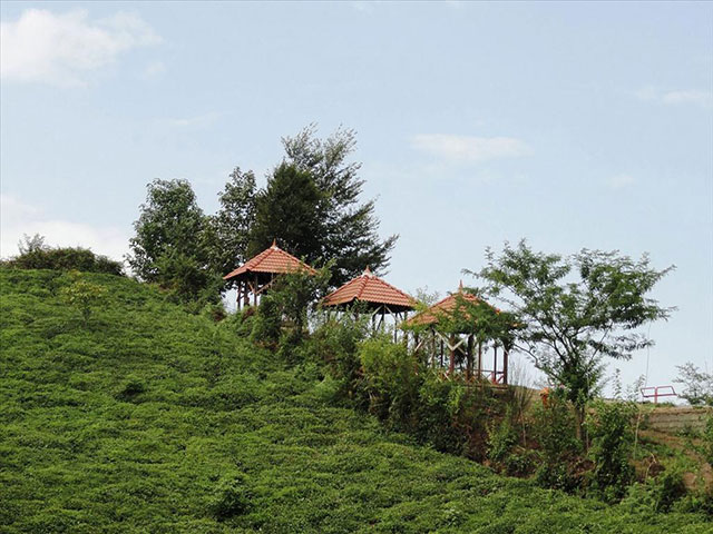 Sisangan Forest Park