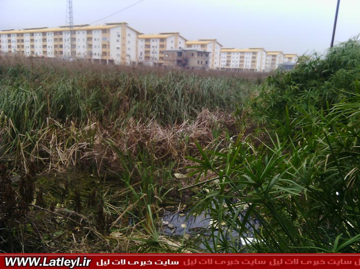 Kiakalayeh Lagoon