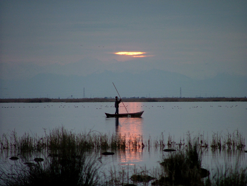 Miankaleh Protected Area