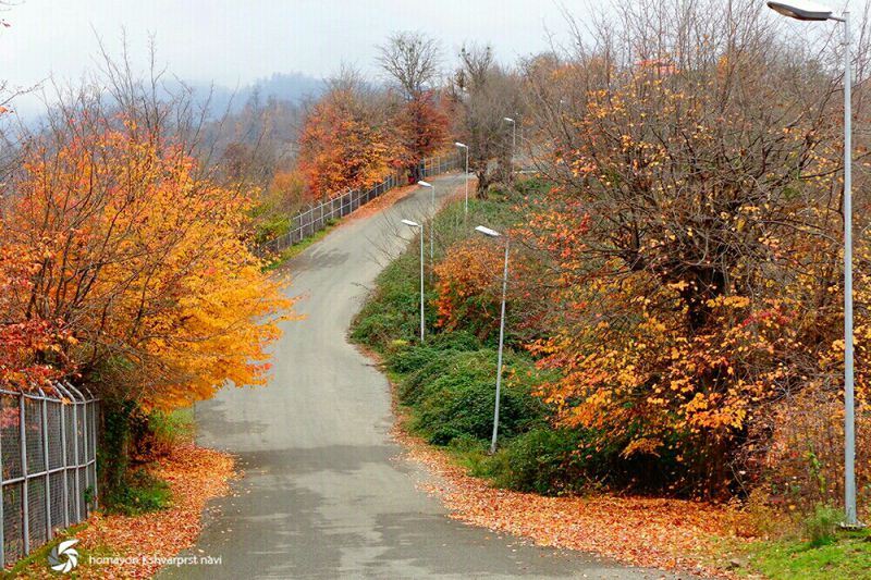 Siyahdaran Forest Park